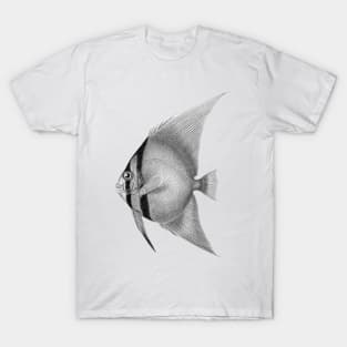 Batfish T-Shirt